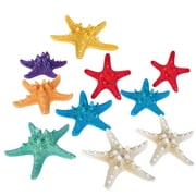 Zonh 10Pcs Mini Beach Sea Stars for Home Decor and Crafts