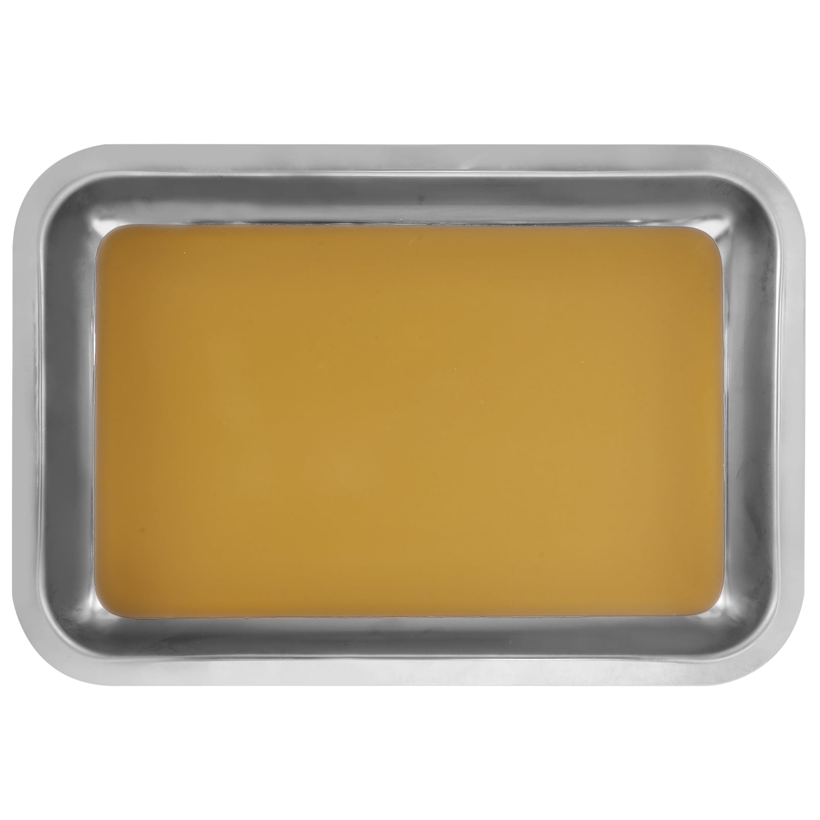 Zonh Dissecting Tray Wax Dissection Tray Labs Dissection Plate for