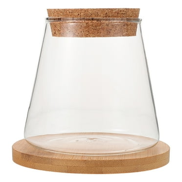 Zonhebin 1 Set of Desktop Fish Bowl Clear Glass Small Fish Tank with Lid Bamboo Mat Betta Fish Terrarium