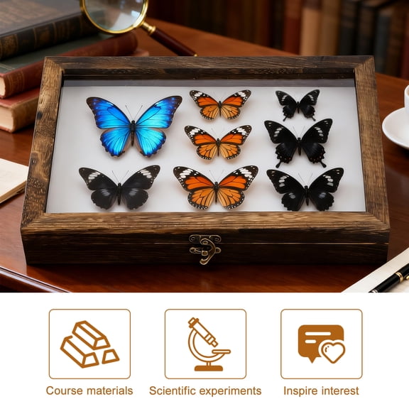 Zonhebin Wooden Display Case with Clear Glass Window for Insect Specimens and Collection