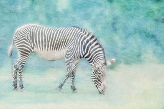 Zoo Crew Canvas Art - Roberta Murray (12 x 18)