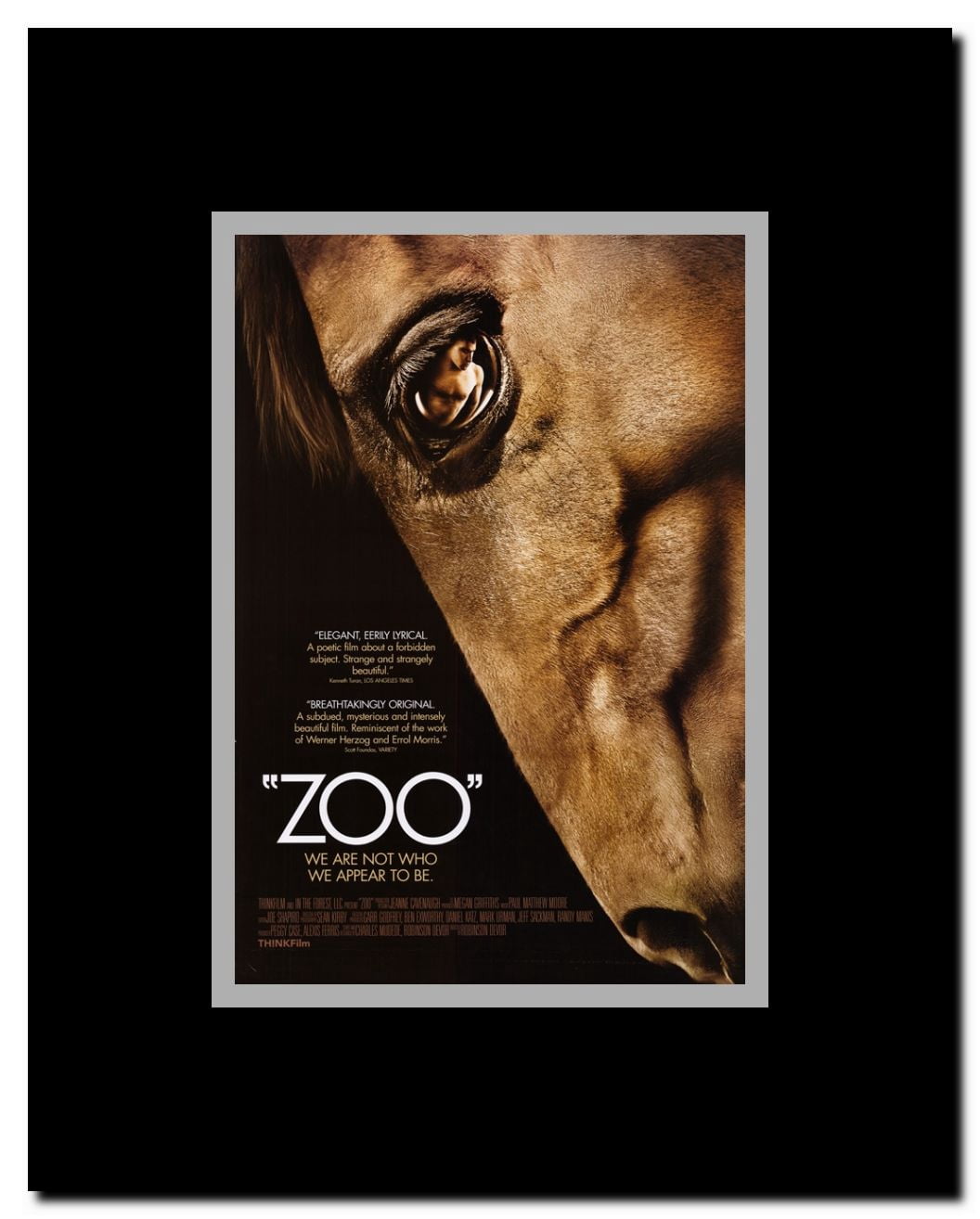 Zoo Framed Movie Poster