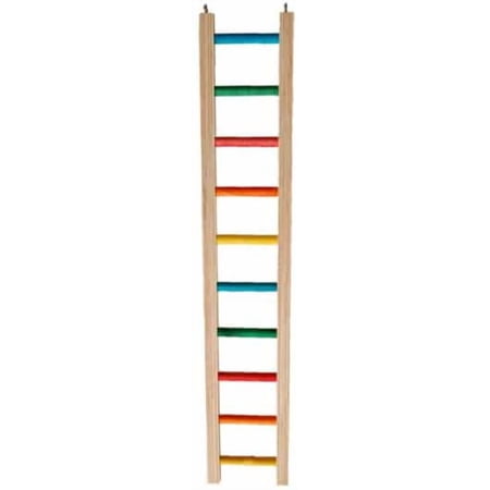 Zoo-max Hardwood Bird Ladder 2' - 1 Count