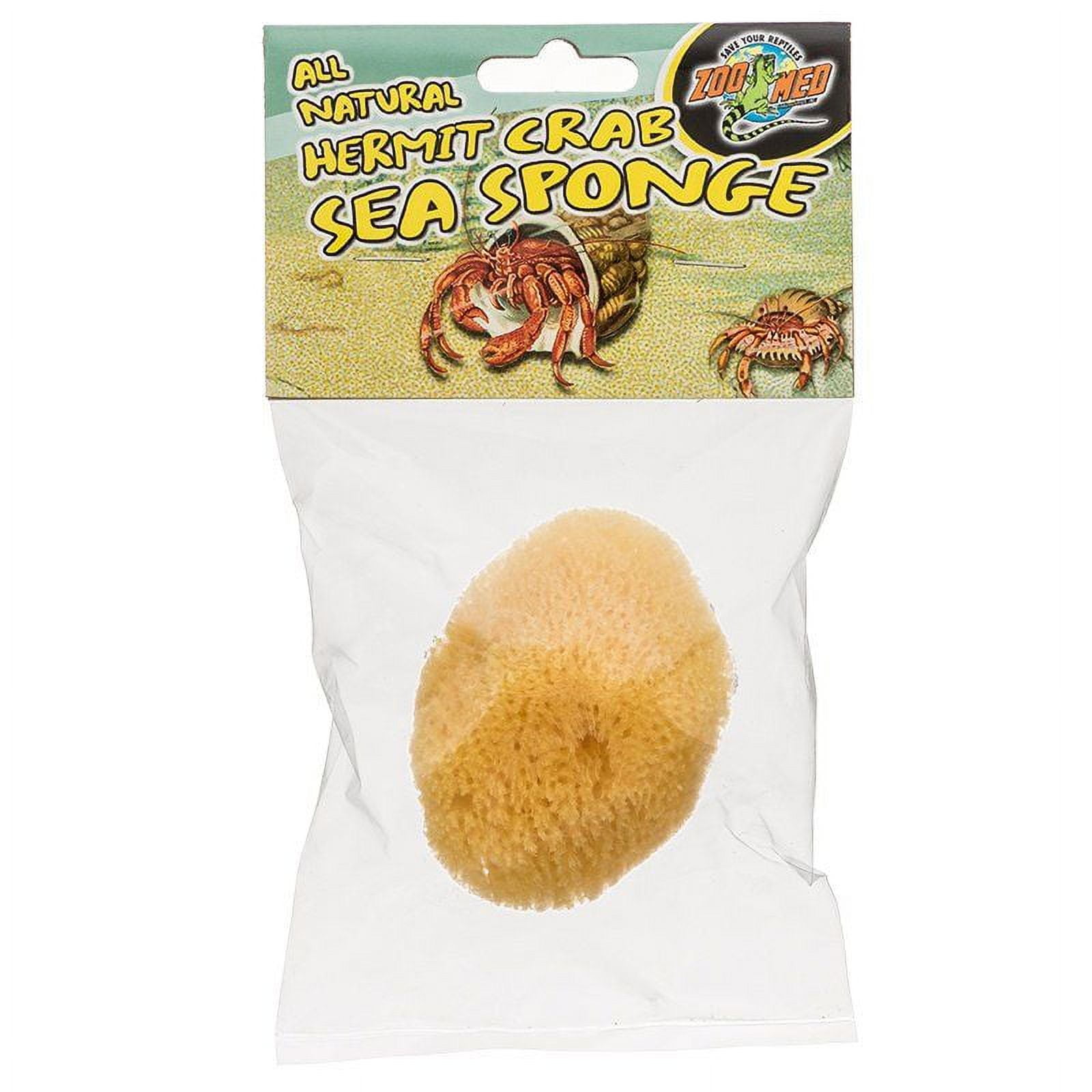 Zoo Med All Natural Hermit Crab Sea Sponge 2.5 Diameter Pack of 2