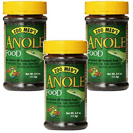 Anole Food