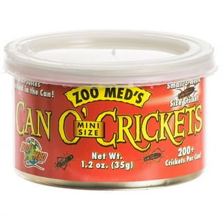 Walmart reptile cheap food
