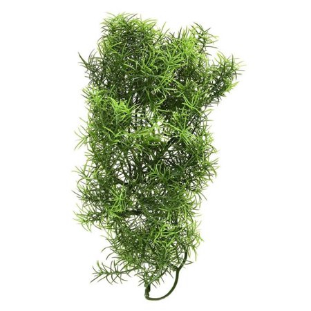 Zoo Med Cashuarina Medium (5 Pack)
