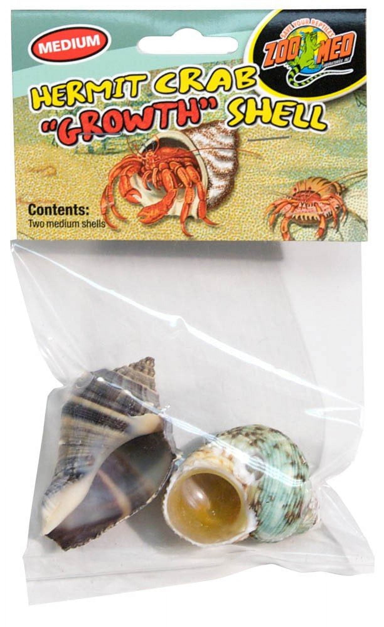 Zoo med Hermit Crab Sponge (ZMHS10) — jzxonline