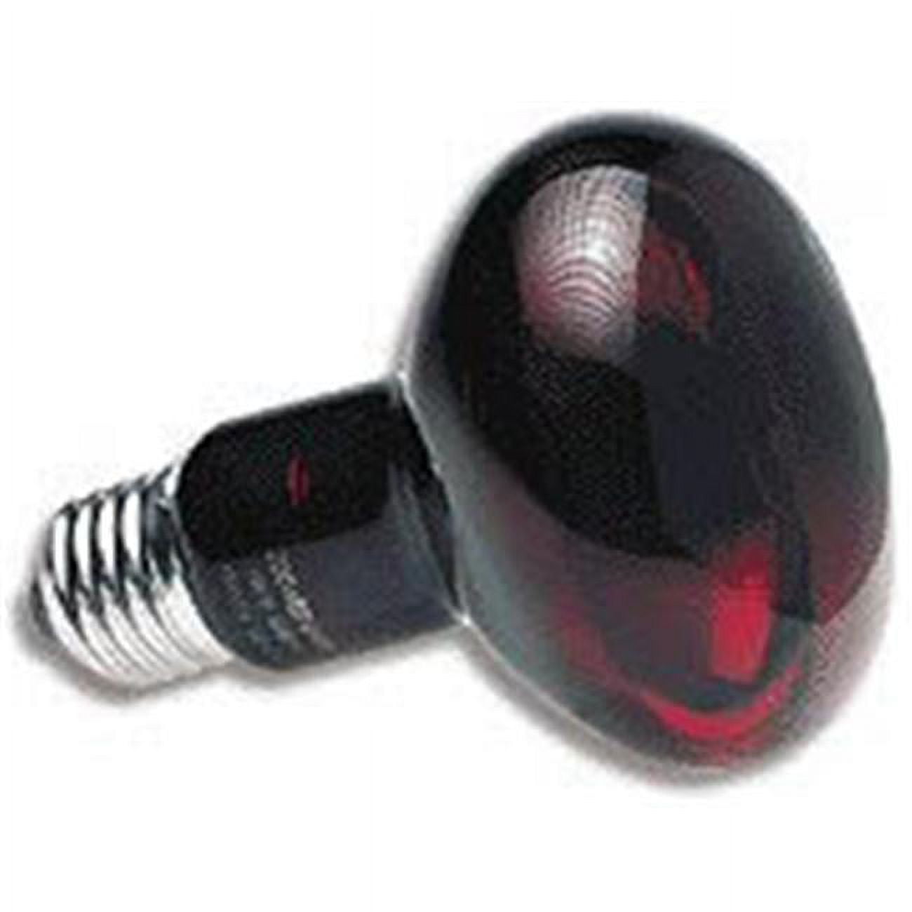 Zoo Med Labs Zoo Med Red Nocturnal Infrared Heat Lamp 50 Watt Bulb for