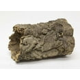 thumbnail image 1 of Zoo Med Natural Full Cork Round Reptile Hideaway, 1 of 2