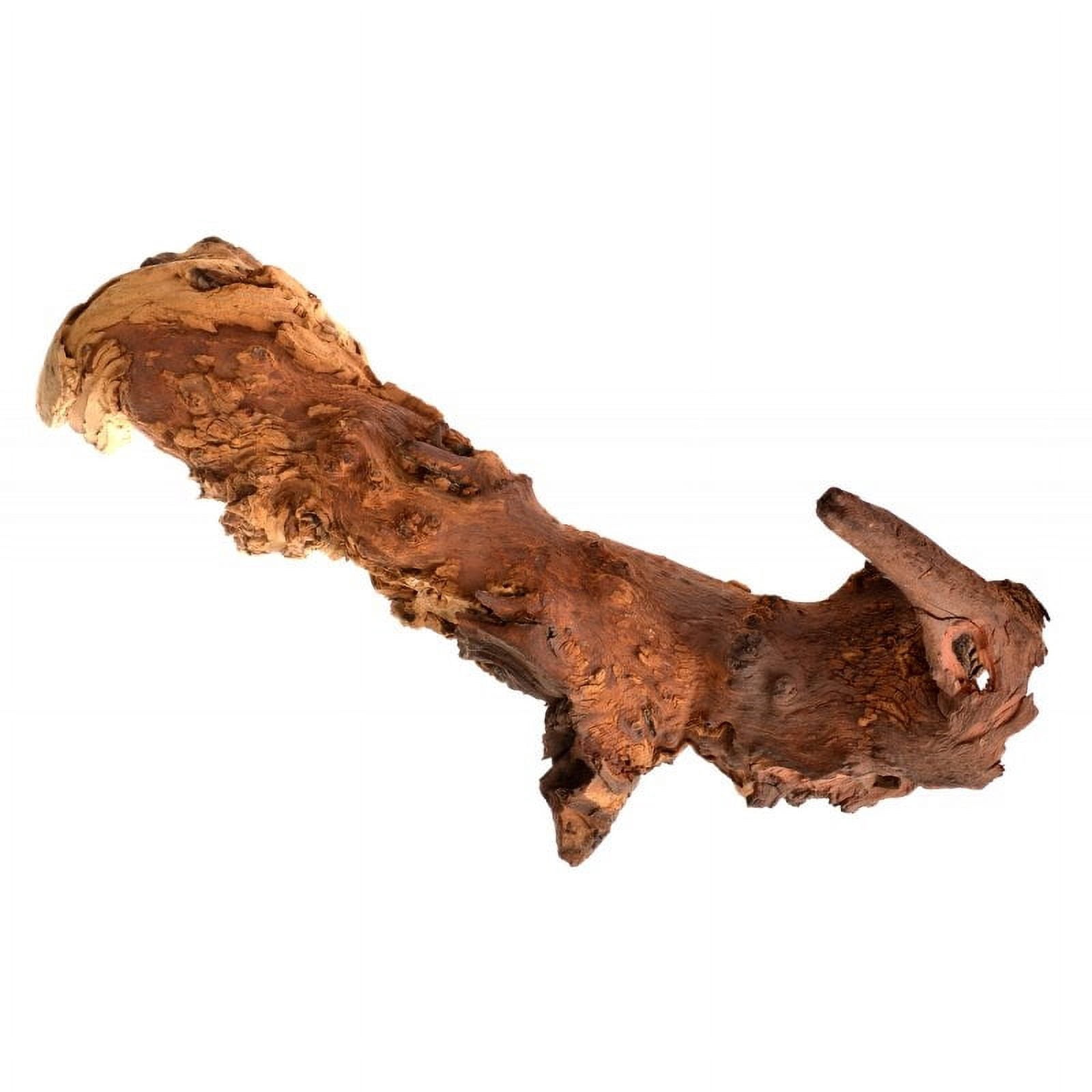 Zoo Med Natural Mopani Wood for Aquariums or Terrariums [Decor, Aquarium Supplies] Jumbo - 1 count