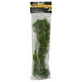 thumbnail image 1 of Zoo Med Natural Bush Borneo Star Plant Large, 1 of 2
