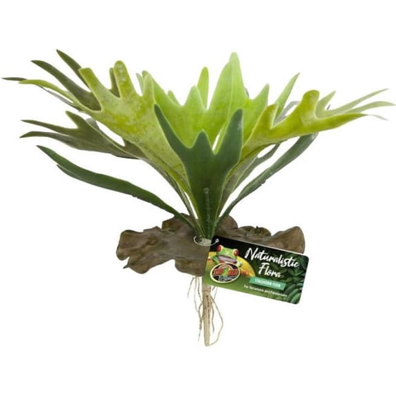Zoo Med Naturalistic Flora Staghorn Fern - 1 count