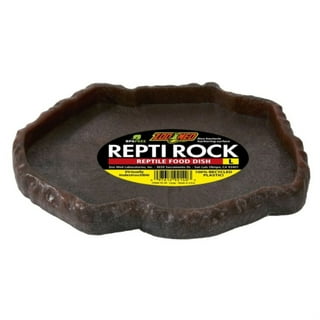 Leopard gecko food dish hot sale