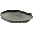 thumbnail image 1 of Zoo Med Repti Rock Food Dish for Reptiles X-Large Colors Vary, 1 of 2