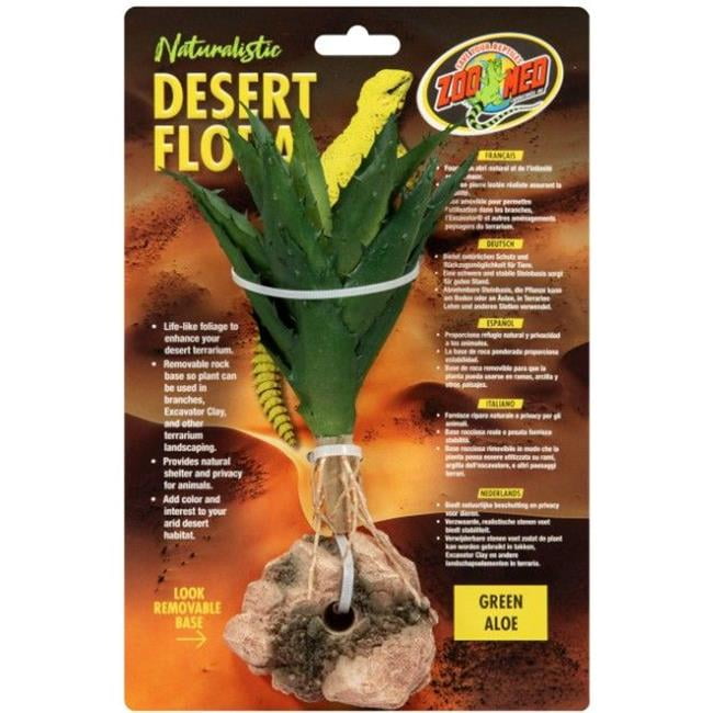 alocasia amazonica splash 🌿 Alocasia Amazonica Aurea Splash variegated