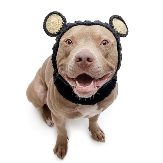 Zoo Snoods Black Bear Costume - arm Knit Dog Snood Ear Wrap for Pets, Warm Neck Ear Cover Protection (Large)