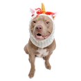 thumbnail image 1 of Zoo Snoods Unicorn Costume - Warm Knit Rainbow Dog Snood Ear Wrap for Pets, Warm Neck Ear Cover Protection (Large), 1 of 9