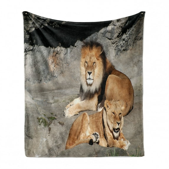 Zoo Soft Flannel Fleece Blanket, Male and Female Lions Basking in the Sun Wild Cats Habitat King of Jungle, Cozy Plush for Indoor and Outdoor Use, 60" x 80", Pale Brown Grey Yellow, by Ambesonne
