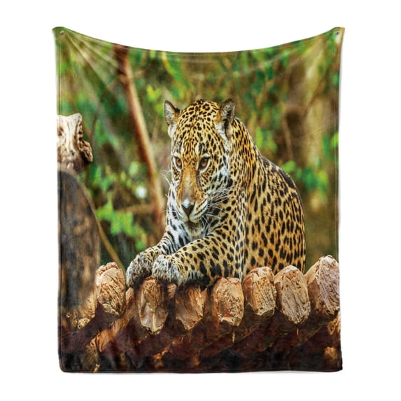 Zoo Soft Flannel Fleece Throw Blanket, Jaguar on Wood Floor Wildlife Animals Feline Big Cat Mammal Predator Resting, Cozy Plush for Indoor and Outdoor Use, 50" x 70", Green Yellow Brown, by Ambesonne