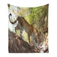 thumbnail image 1 of Zoo Soft Flannel Fleece Throw Blanket, Leopard Panthera Pantus on Tree Nature Reserve Botswana Carnivore Animal, Cozy Plush for Indoor and Outdoor Use, 50" x 70", Green Pale Brown White, by Ambesonne, 1 of 5