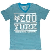 Zoo York Mens Turquoise Striped V-Neck Practice Truth T-Shirt Small