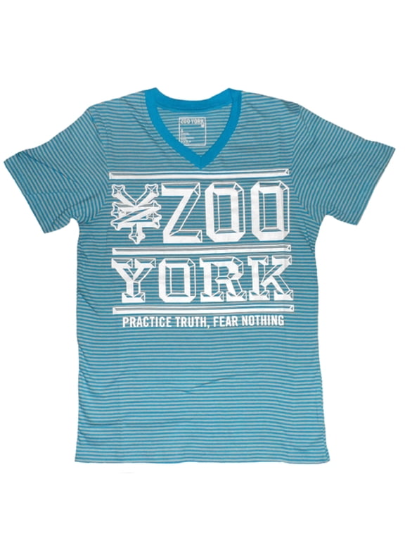 Men's Turquoise Striped V-Neck "Practice Truth" T-Shirt (Small)