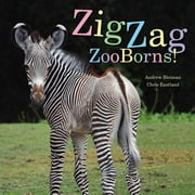 ZooBorns: ZigZag ZooBorns! : Zoo Baby Colors and Patterns (Hardcover)