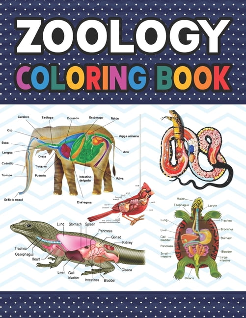 Zoology Coloring Book Zoology Self Test Guide for Anatomy Students