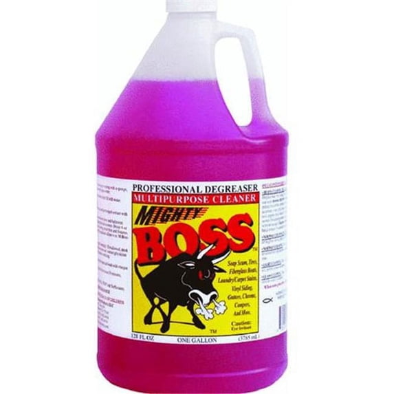 Zoom Cleaning Products Cleaner House & Rv - 1 gal - Pack of 4