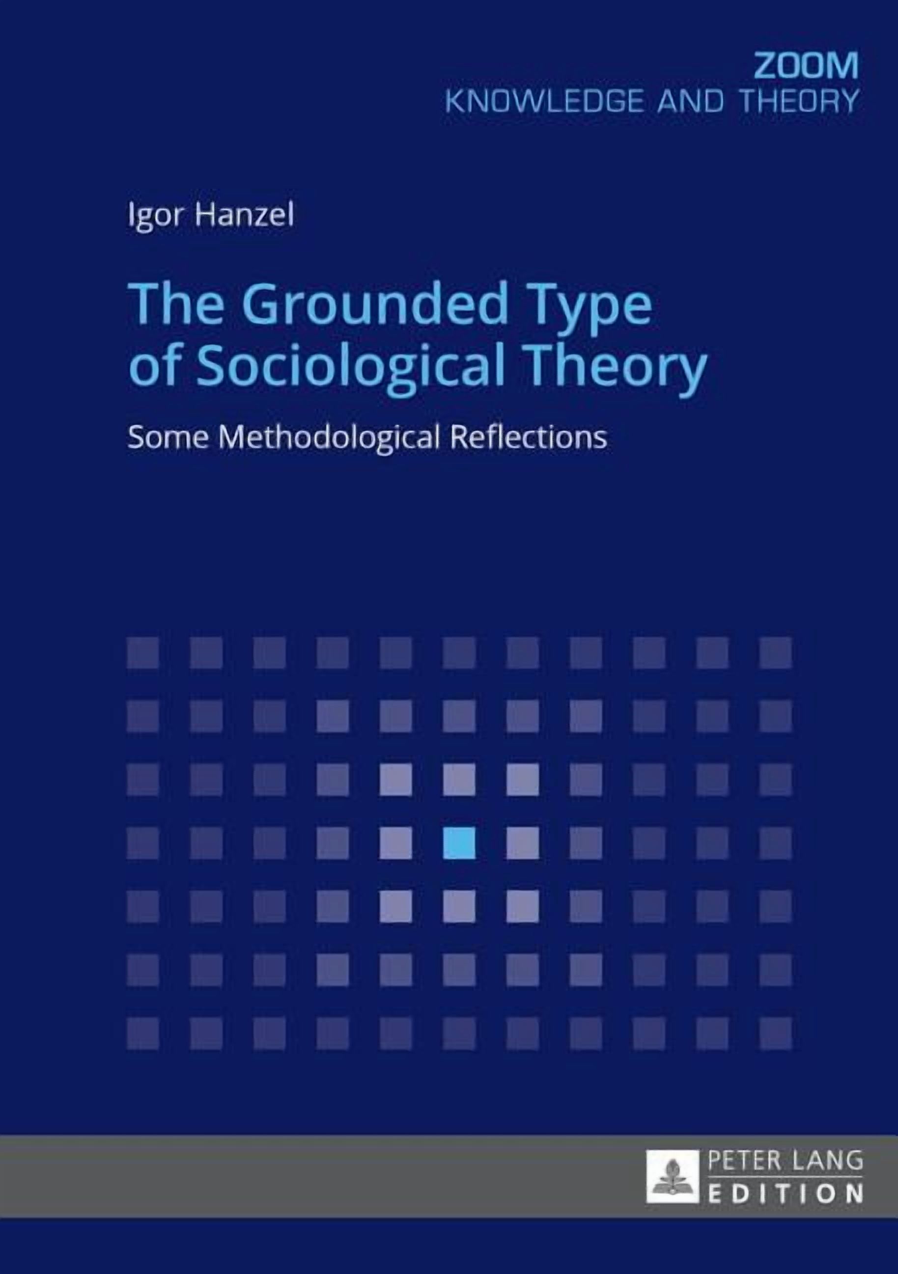 Zoom: The Grounded Type of Sociological Theory (Paperback)