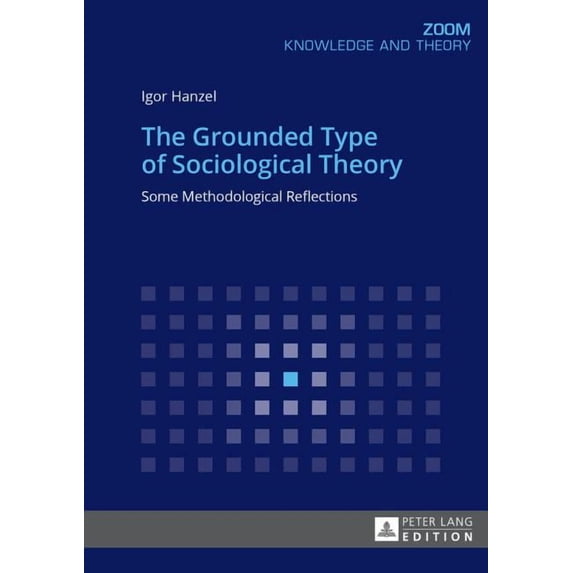 Zoom: The Grounded Type of Sociological Theory (Paperback)