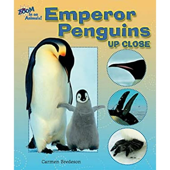 Pre-Owned Emperor Penguins up Close (Library Binding) 9780766024977