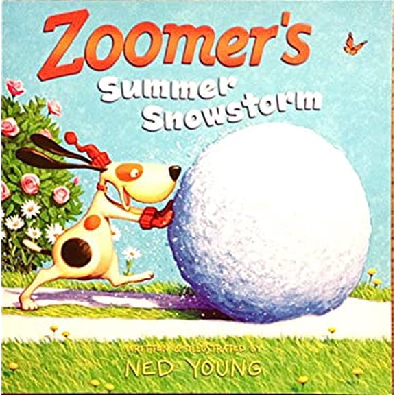 Pre-Owned Zoomer's Summer Snowstorm (Paperback), English