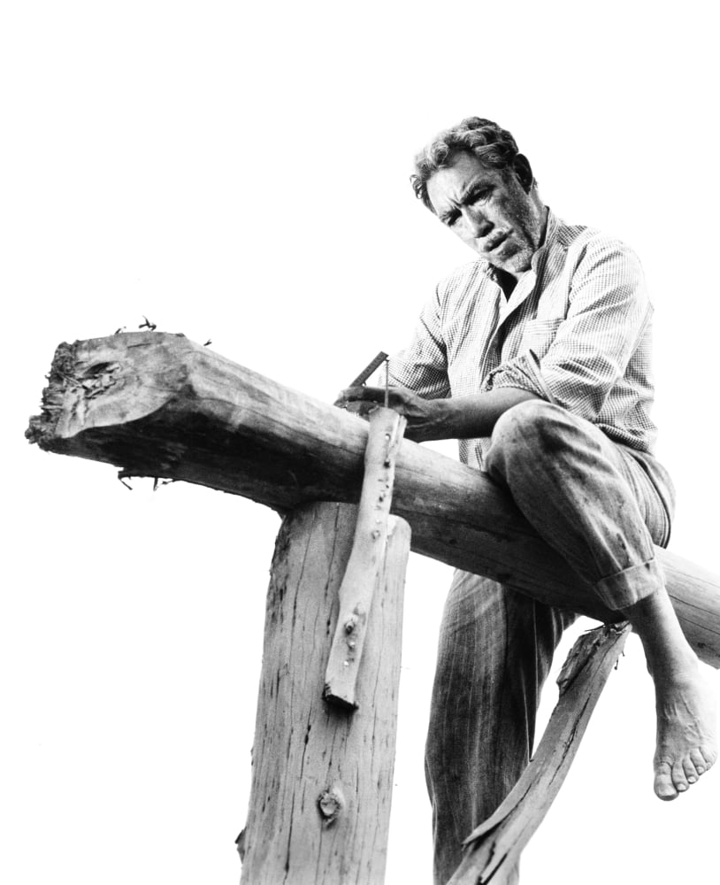 Zorba The Greek Canvas Art - (16 x 20)