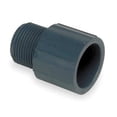 thumbnail image 1 of ZoroSelect PVC Male Adapter, MNPT x Socket, 1-1/2 in Pipe Size, 1 of 1