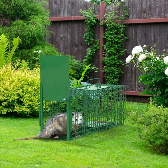 Zorpupoa 30in 1 Door Live Animal Cage Trap For Animals Under 5LBS Easy To Setup Humane Galvanized Iron Trap Cage For Small Cats Rabbits Squirrels Moles Chipmunks Possums M Size