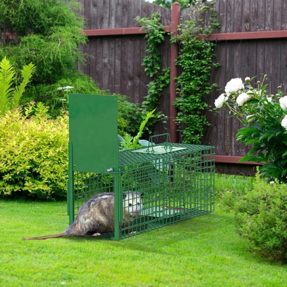 Zorpupoa 30in 1 Door Live Animal Cage Trap For Animals Under 5LBS Easy To Setup Humane Galvanized Iron Trap Cage For Small Cats Rabbits Squirrels Moles Chipmunks Possums M Size