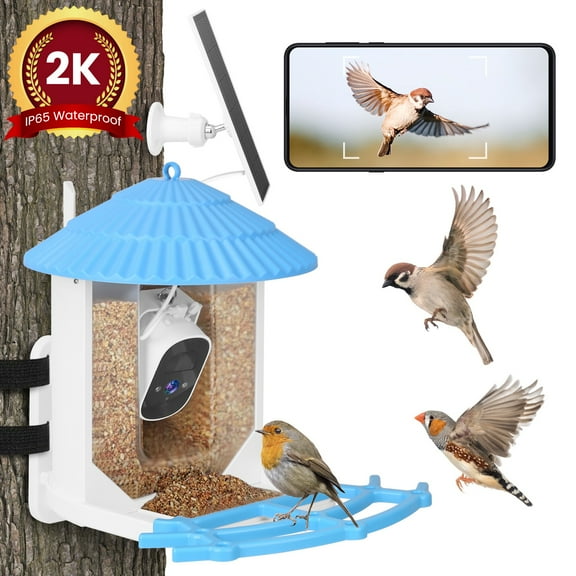 Zorpupoa Solar Powered Smart Bird Feeder with Camera 2K Bird Watching Camera Auto Capture Bird Videos Motion Detection Wireless Camera Ideal Gift for Bird Lover