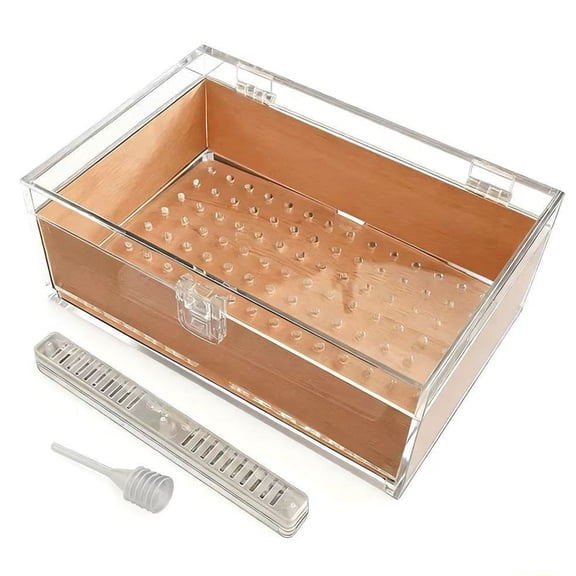 Zorvai Transparent View Acrylic Puritano Storage Box with Cedar Lining for Humidity Control and Long Term Preservation