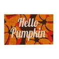 thumbnail image 1 of Zoxiy Hello-Pumpkin-Welcome-Entrance-Mats-Coir-Floor-Doormat-Indoor-Outdoor-Door-Mat Non Slip Autumn Derections Harvest-Festival Front-Door-Mat for Fall and Thanksgiving Porch-Rugs Home-Decor Fall Rug, 1 of 4