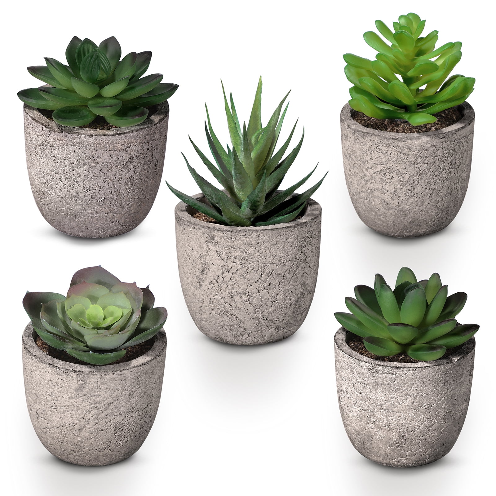 Set of 5 Potted Artificial Green and Gray Succulents