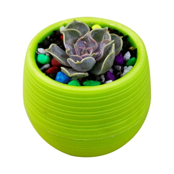 Zoyueyie Mini Round Resin Flower Pot Solid Color Planter Home Office Decor for Succulents Cactus (Green)