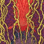 Zozobra - Harmonic Tremors - Music & Performance - Vinyl