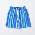 thumbnail image 1 of Zpanxa Boys Striped Beach Shorts Elastic Drawstring Waist Age 2 Years, 1 of 7