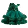 thumbnail image 1 of Zpanxa Dresses for Girls, Girl' Summer Short Sleeve Ruffleded Lace Round-Neck Embroidery Mesh Princess Bow Skirt Green 1 Years, 1 of 7