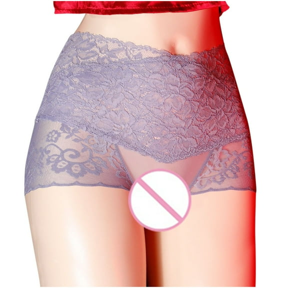 Zpanxa Womens Underwear, Sexy Underwear for Women, High Waist Sexy Lace Open Transparent Mesh Panties Briefs Gray L
