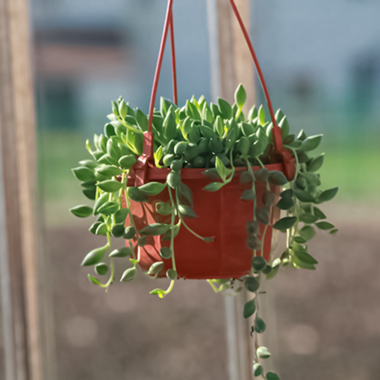 Zruodwans Plastic Hanging Planter Pots Small Hanging Flower Pot