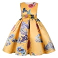 thumbnail image 1 of Zshosam Birthday Dress for Girls Girls Applique Prom Gowns Wedding Birthday Party Princess Long Dresses Size 5T 6T,(Yellow 5-6 Years), 1 of 9