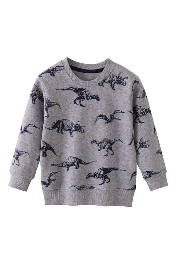 Boys Crewneck Sweatshirt Boys Sweatshirt Toddler Baby Boy Sweatshirts Pullover Long Sleeve Fall Tops Size 5T 6T,(Grey 5-6 Years)